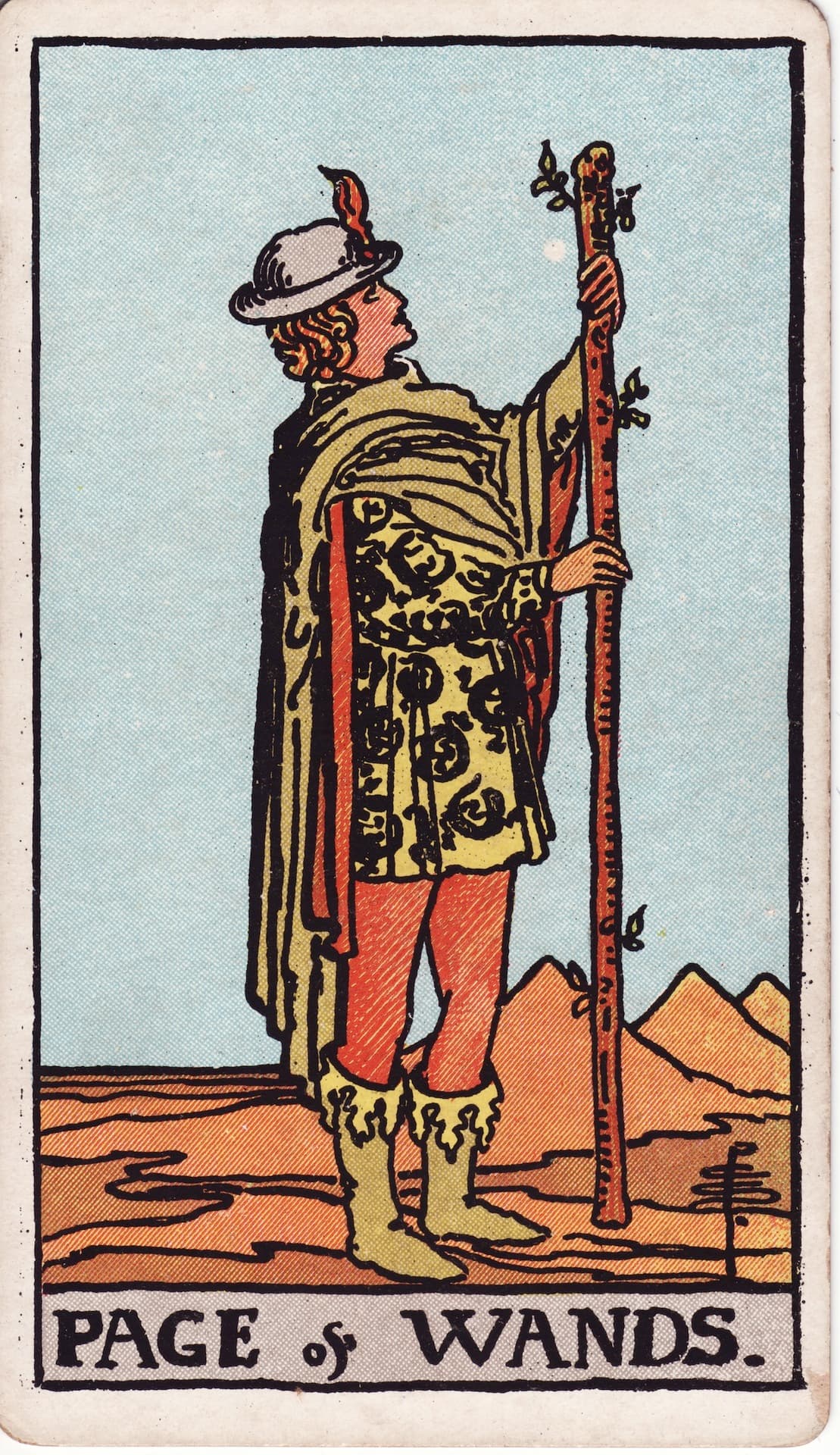 완드 페이지(Page of Wands) 타로카드