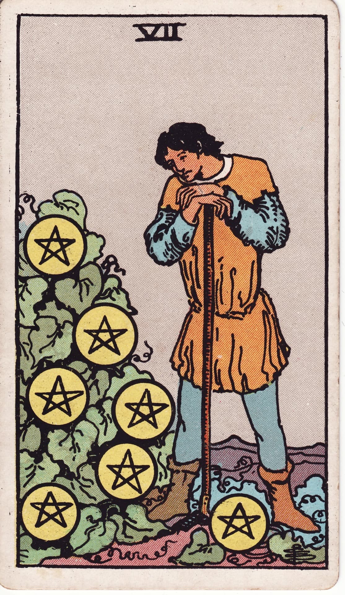 펜타클 7(Seven of Pentacles) 타로카드